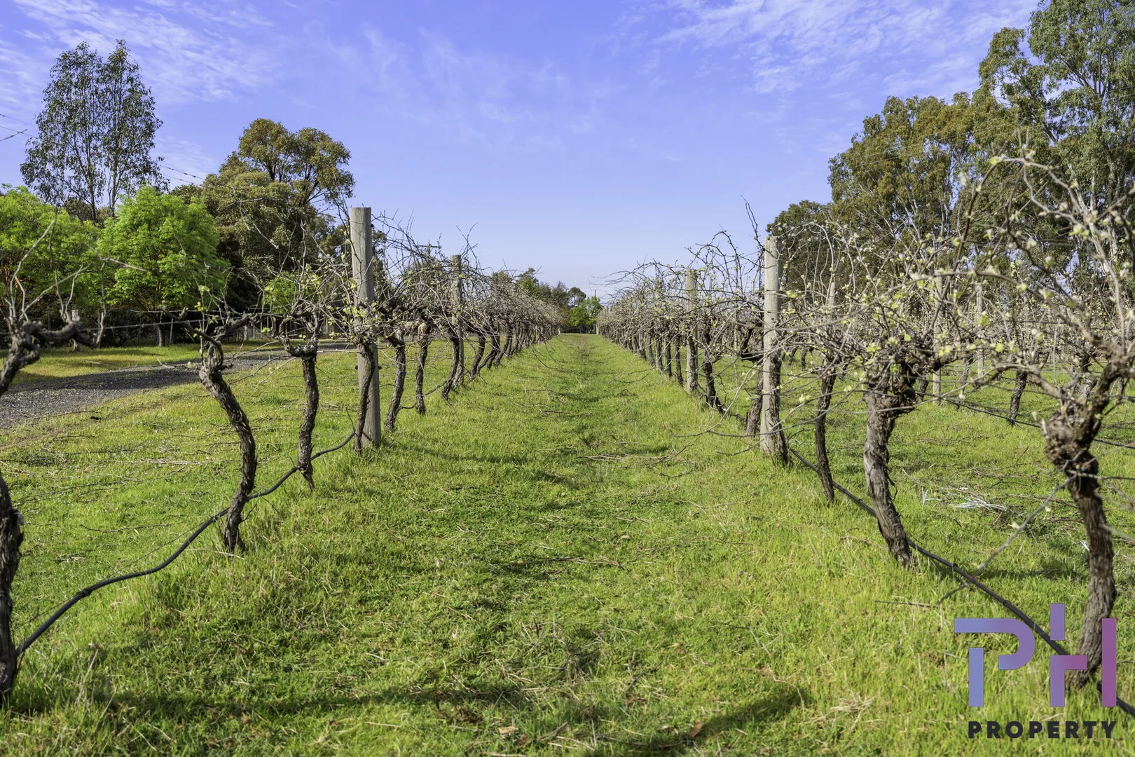 Additional image 3 of 384A Sinclairs Road, Strathfieldsaye VIC 3551