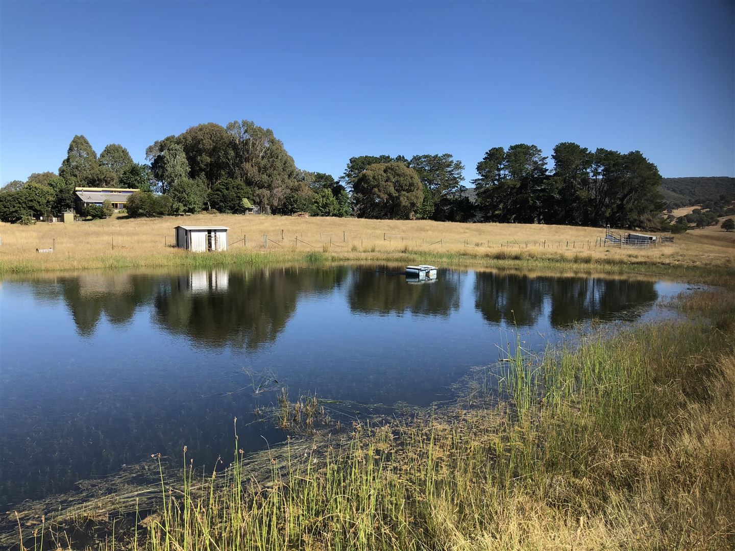 'Raymond' 2852 Jingellic Road, Tumbarumba NSW 2653, Image 0