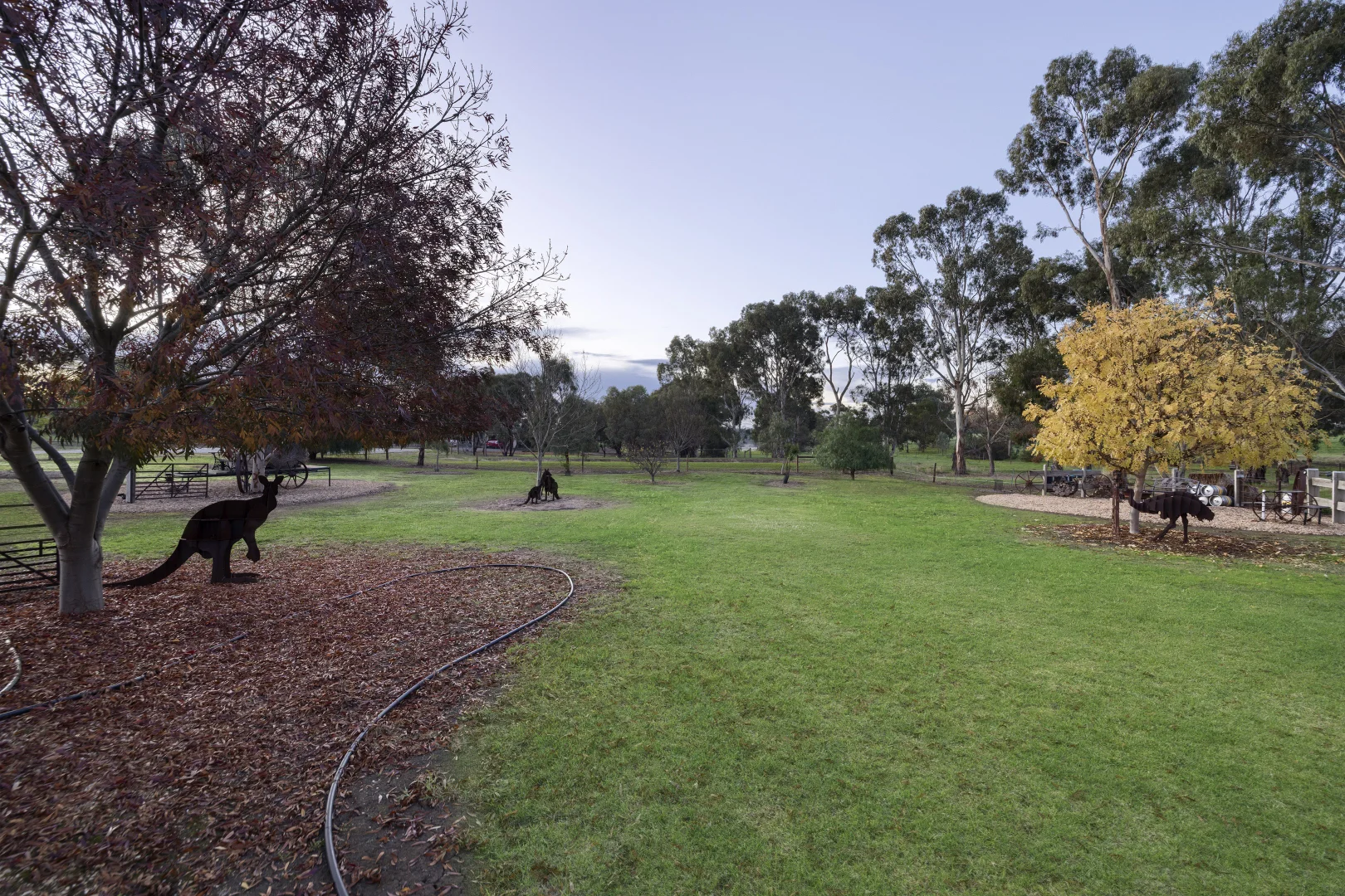 Image 37