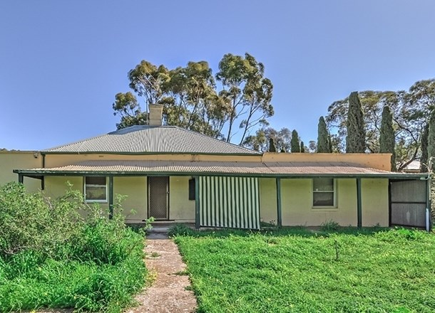 445 Rosedale Road, Rosedale SA 5350