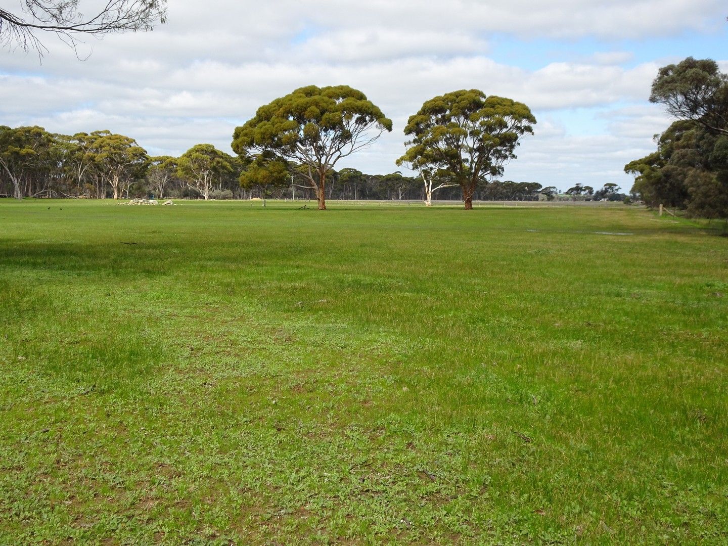 Lot B, 152 Great Southern Highway, Popanyinning WA 6309, Image 0