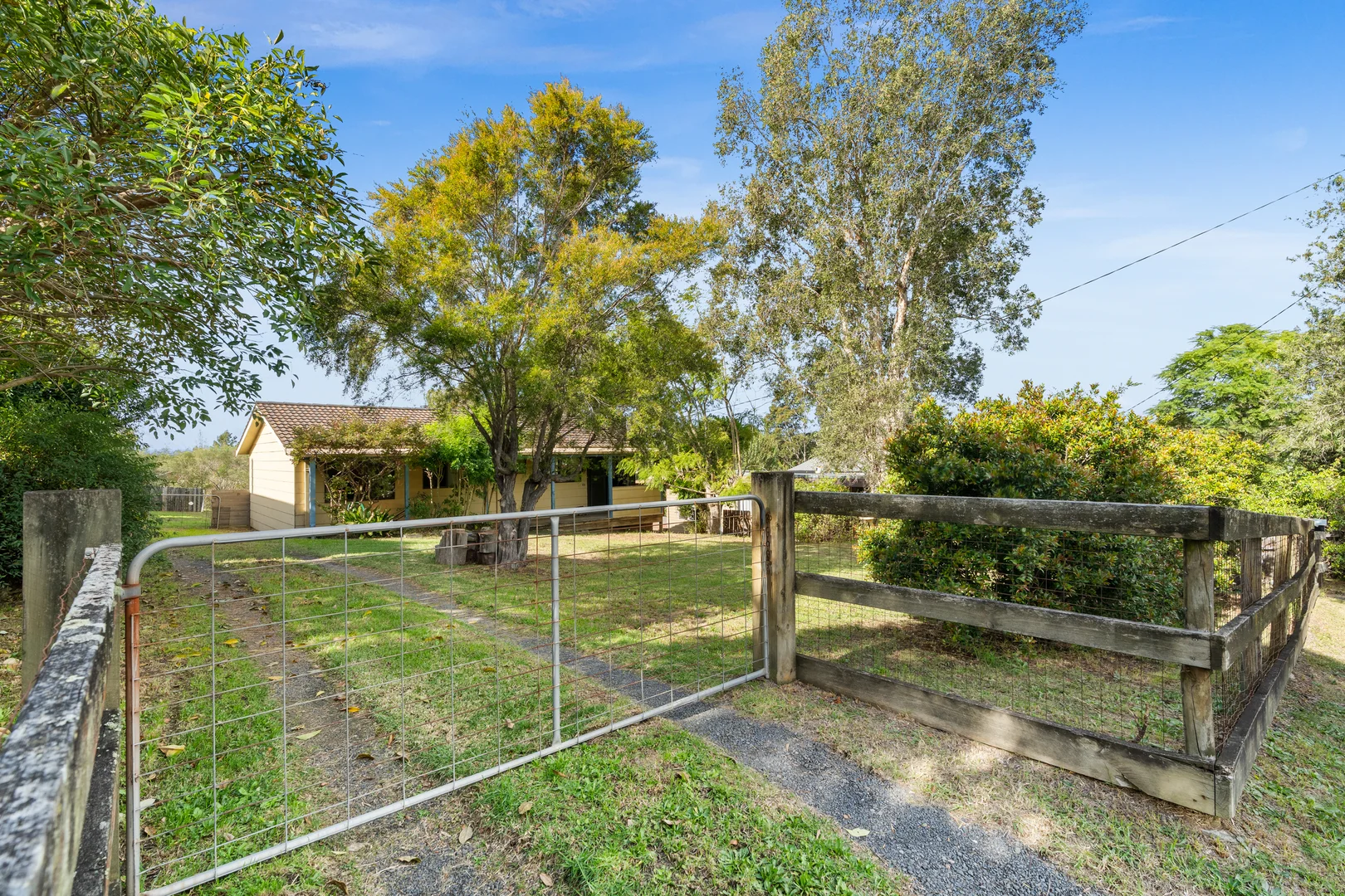 Image 12