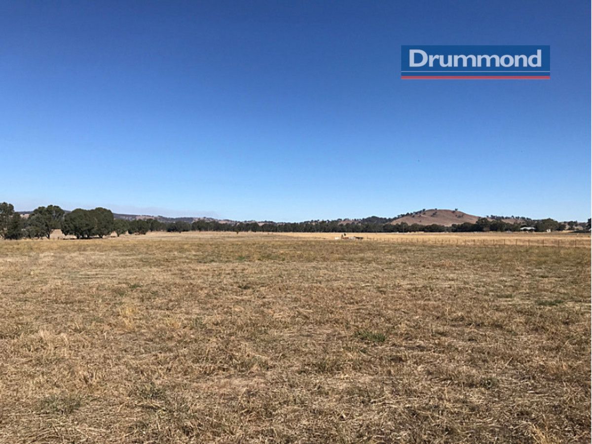 67 Dunwandren Lane, Jindera NSW 2642, Image 0