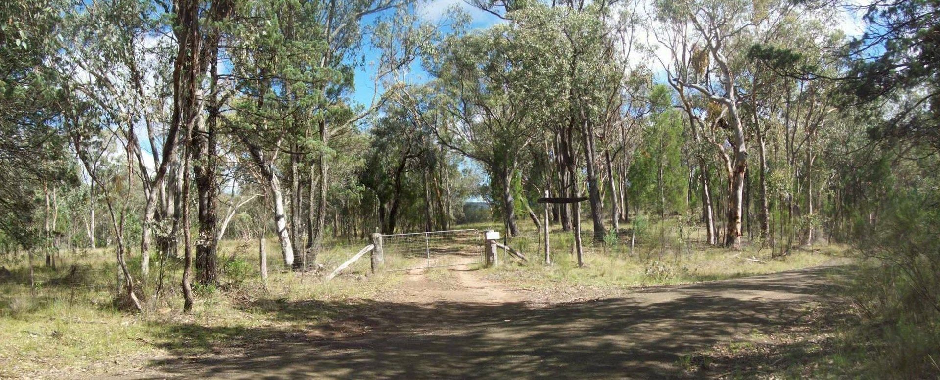 601 Horton Falls Road, Lindesay NSW 2347, Image 1