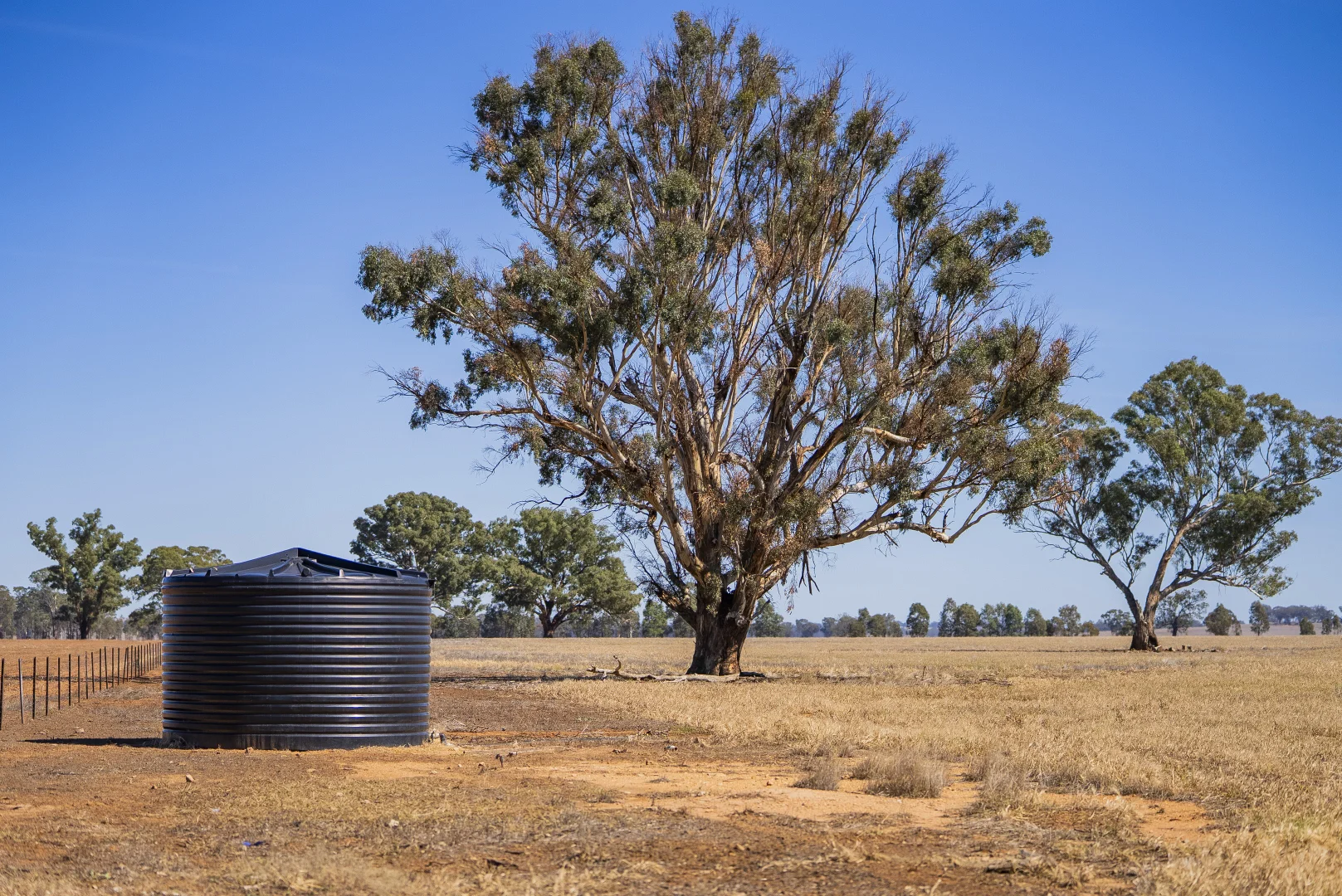 Additional image 10 of Combaning Road, Temora NSW 2666