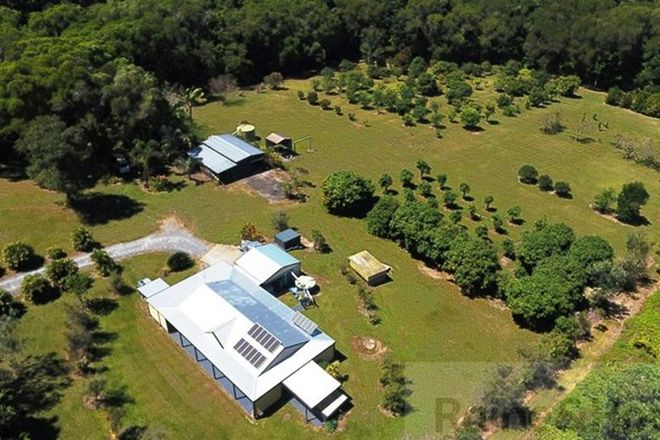 Picture of 112 George Road, Forest Creek, DAINTREE QLD 4873