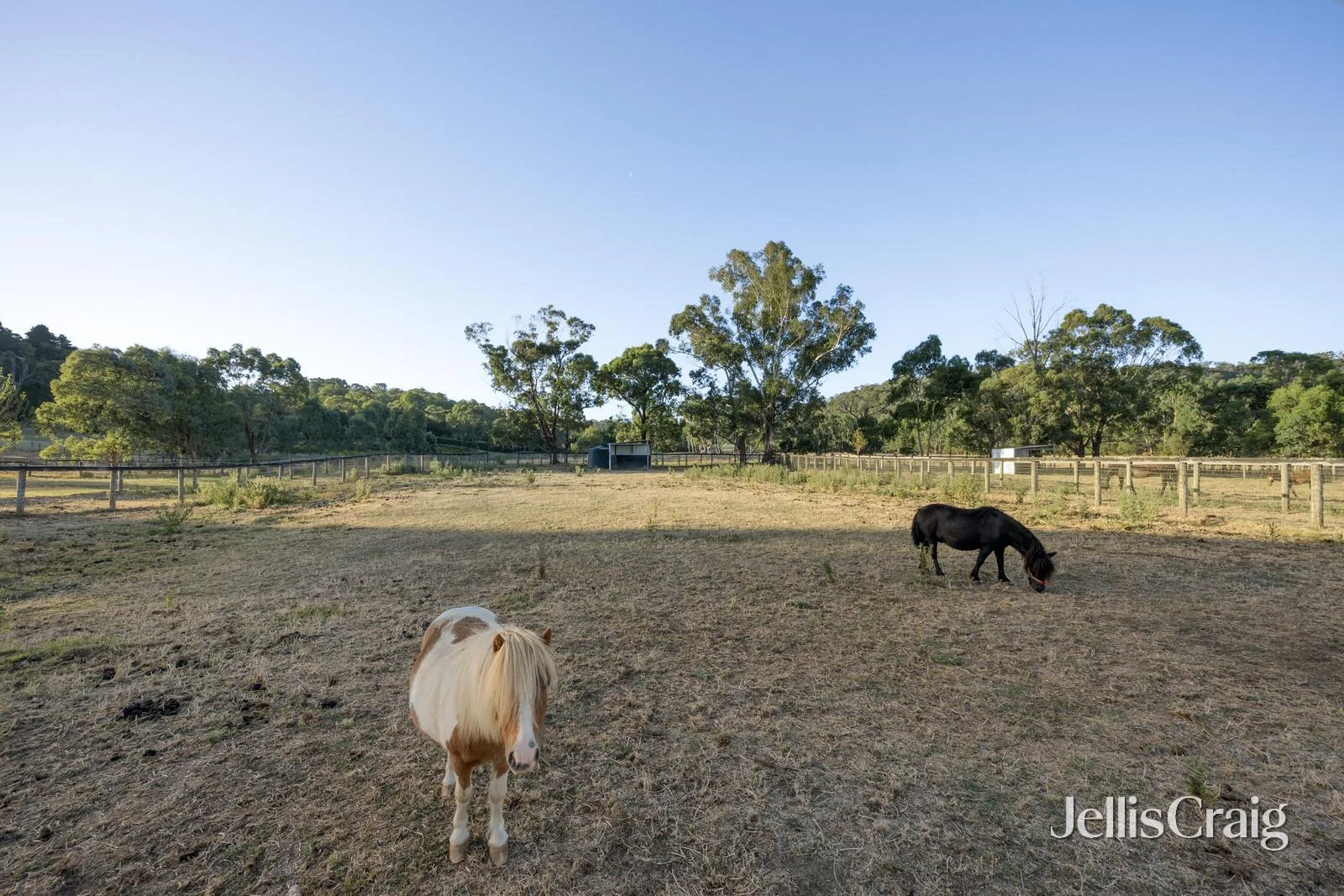 Additional image 34 of 272 Steels Creek Road, Yarra Glen VIC 3775