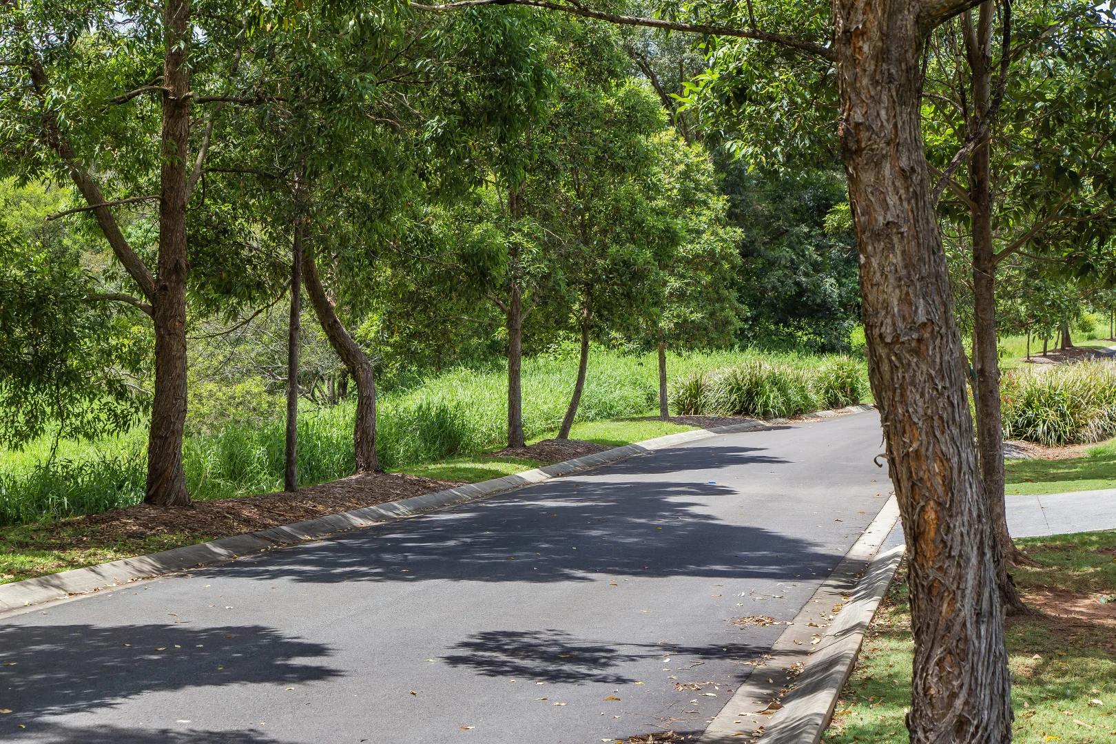 Additional image 10 of 13 Lindeman Road, Beerwah QLD 4519