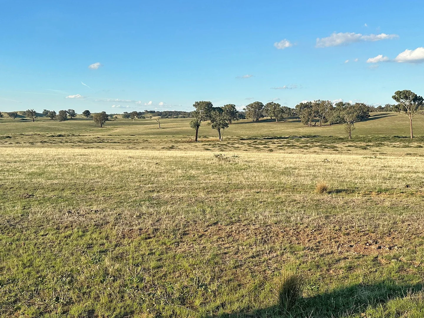 Additional image 16 of 1277 Cheviot Hills Road, Wagga Wagga NSW 2650