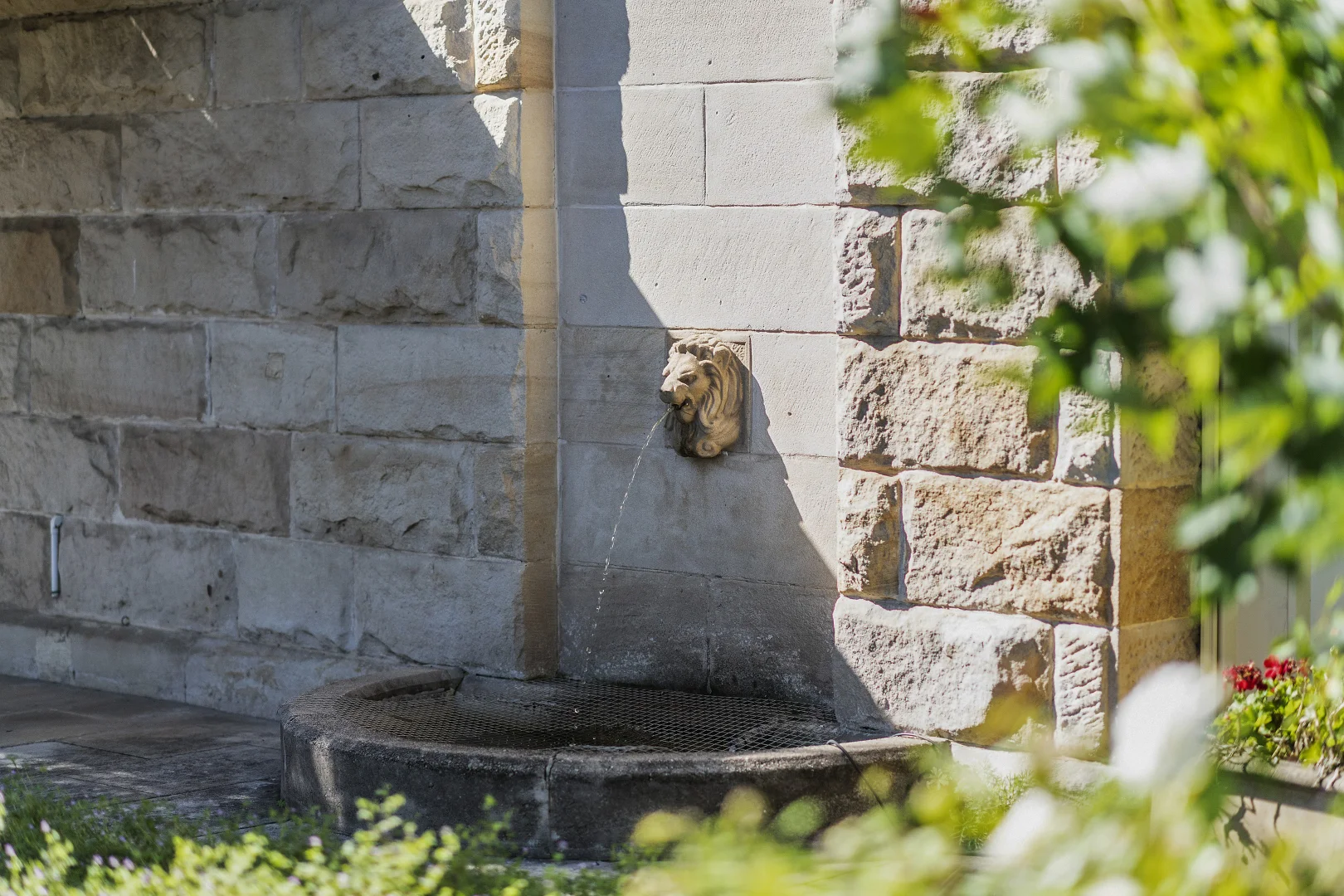 Image 23