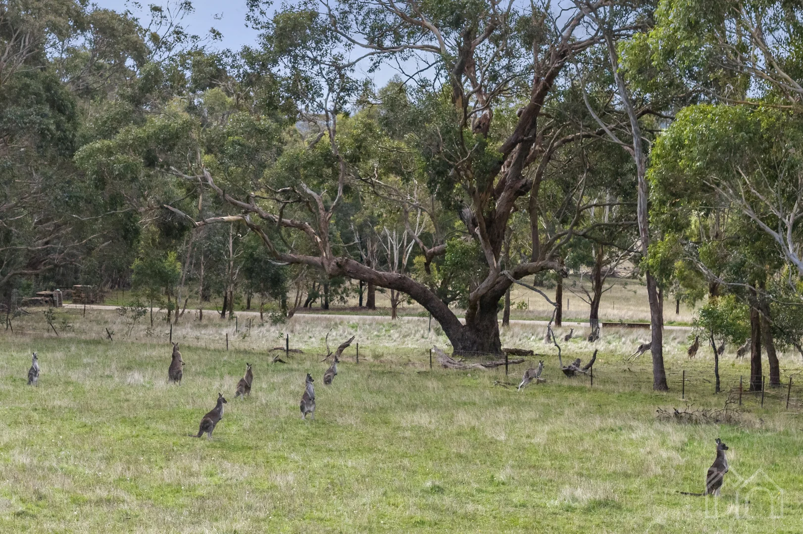 Additional image 36 of 113 Lavender Farm Road, Woodend VIC 3442