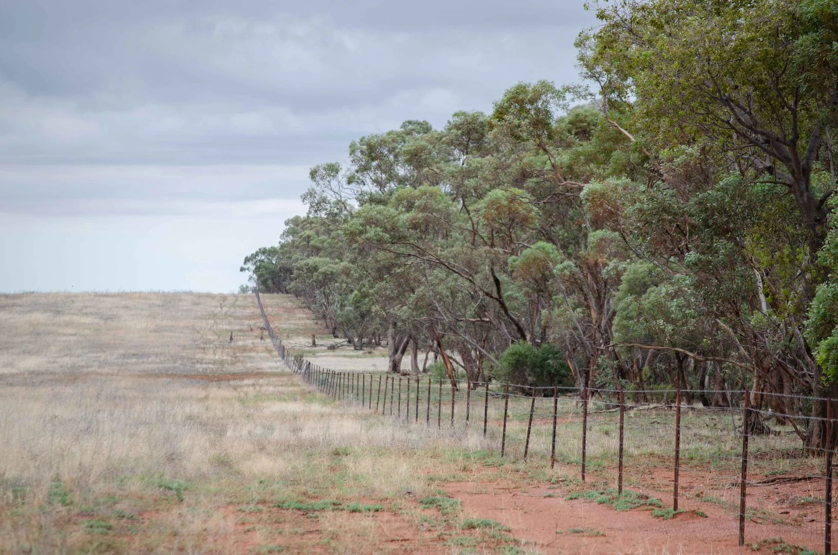 Additional image 15 of 83 Cornells Road, Condobolin NSW 2877