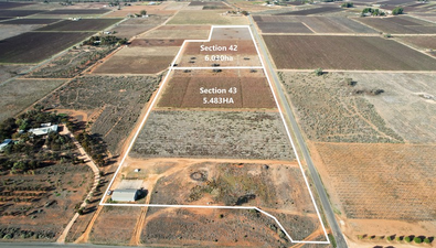 Picture of 42 & 43 Canal Road, RENMARK SA 5341