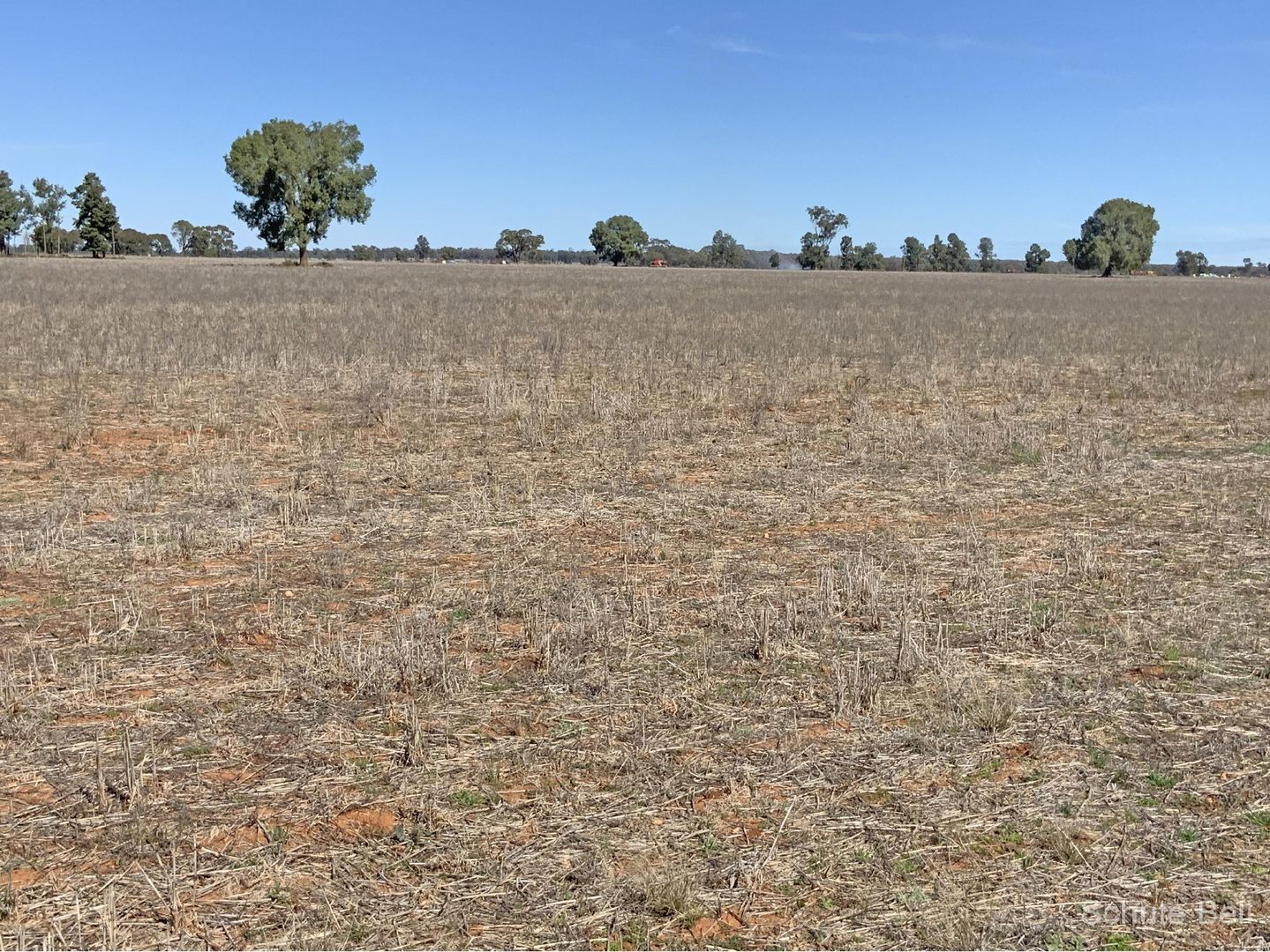 703 Yethra Road, Tullamore NSW 2874 House for Sale Domain