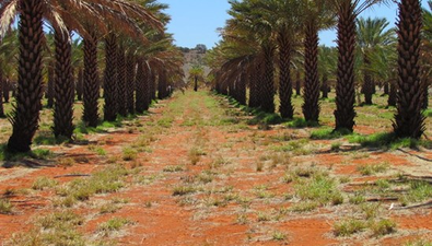 Picture of . High River Stock Route, ALICE SPRINGS NT 0870