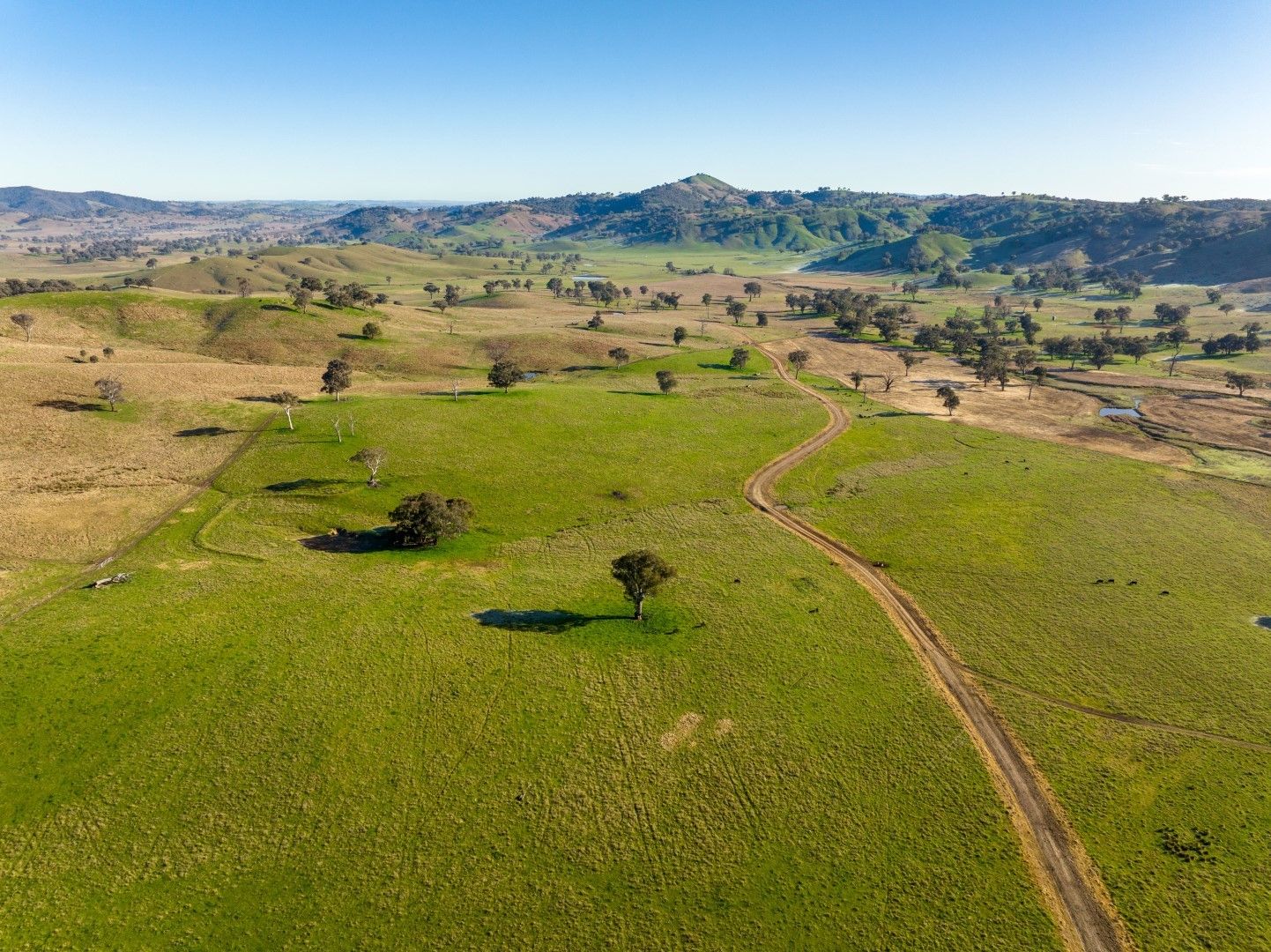 Califat Road, Adelong NSW 2729, Image 0