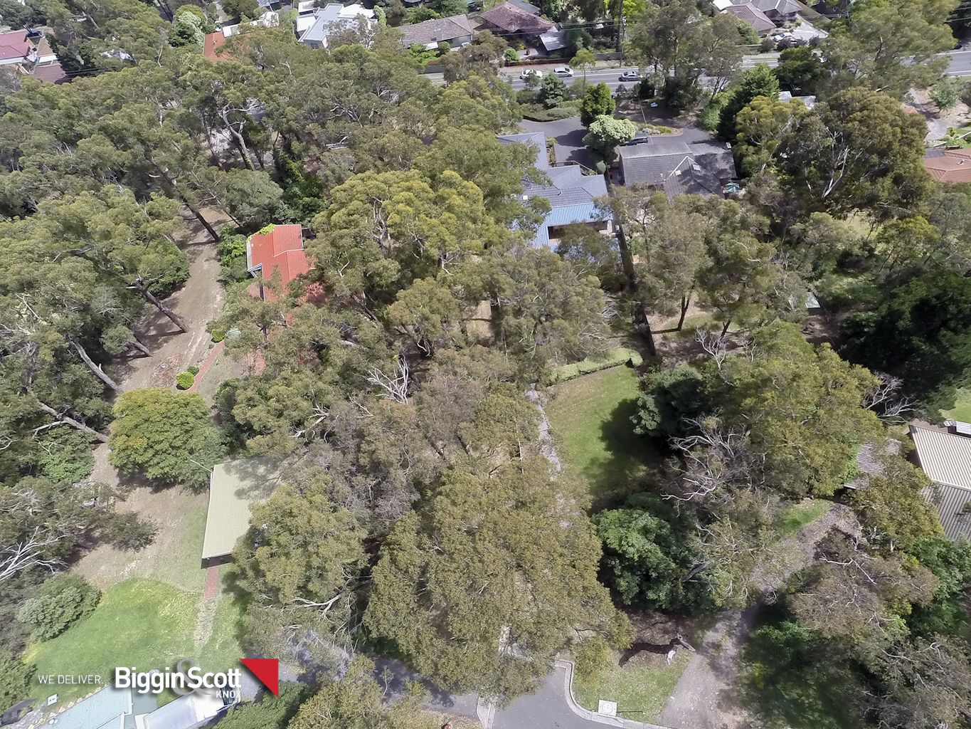344 Forest Road, The Basin VIC 3154, Image 1