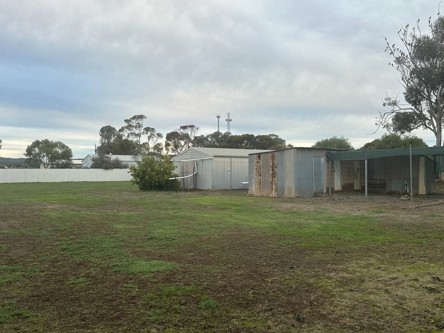 Image 15