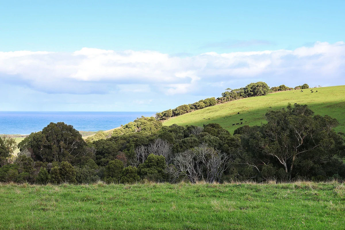 Image 18