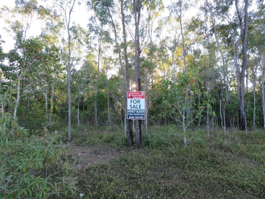 LOT 23 LELONA DRIVE, Bloomsbury QLD 4799, Image 0