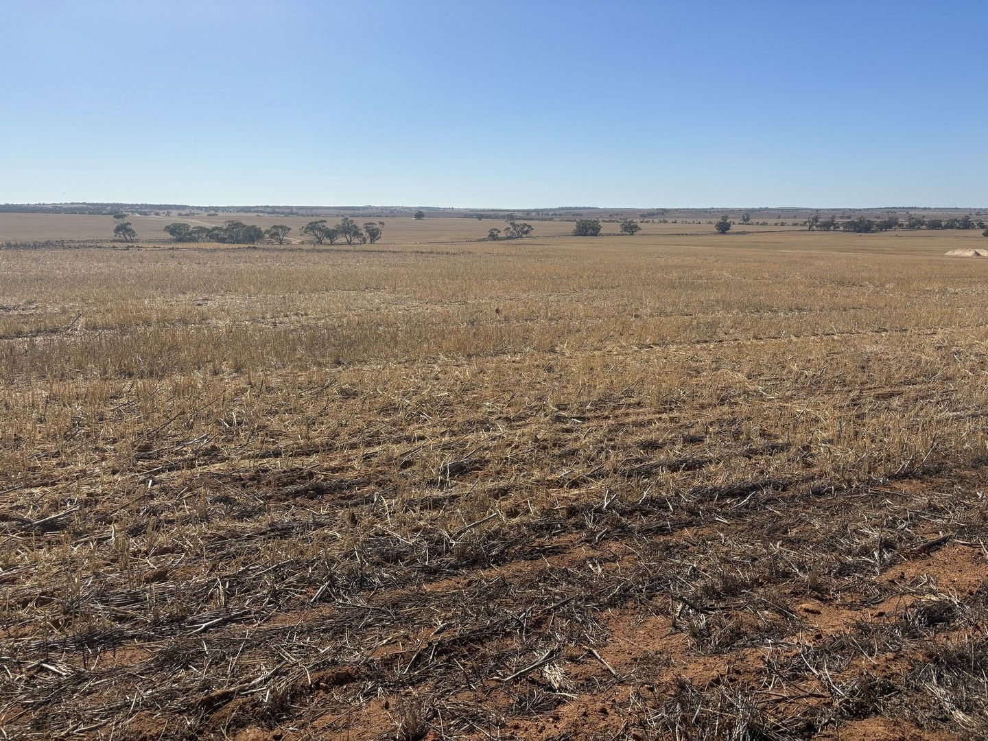 BunjilCarnamah Road, Carnamah WA 6517 House for Sale Domain