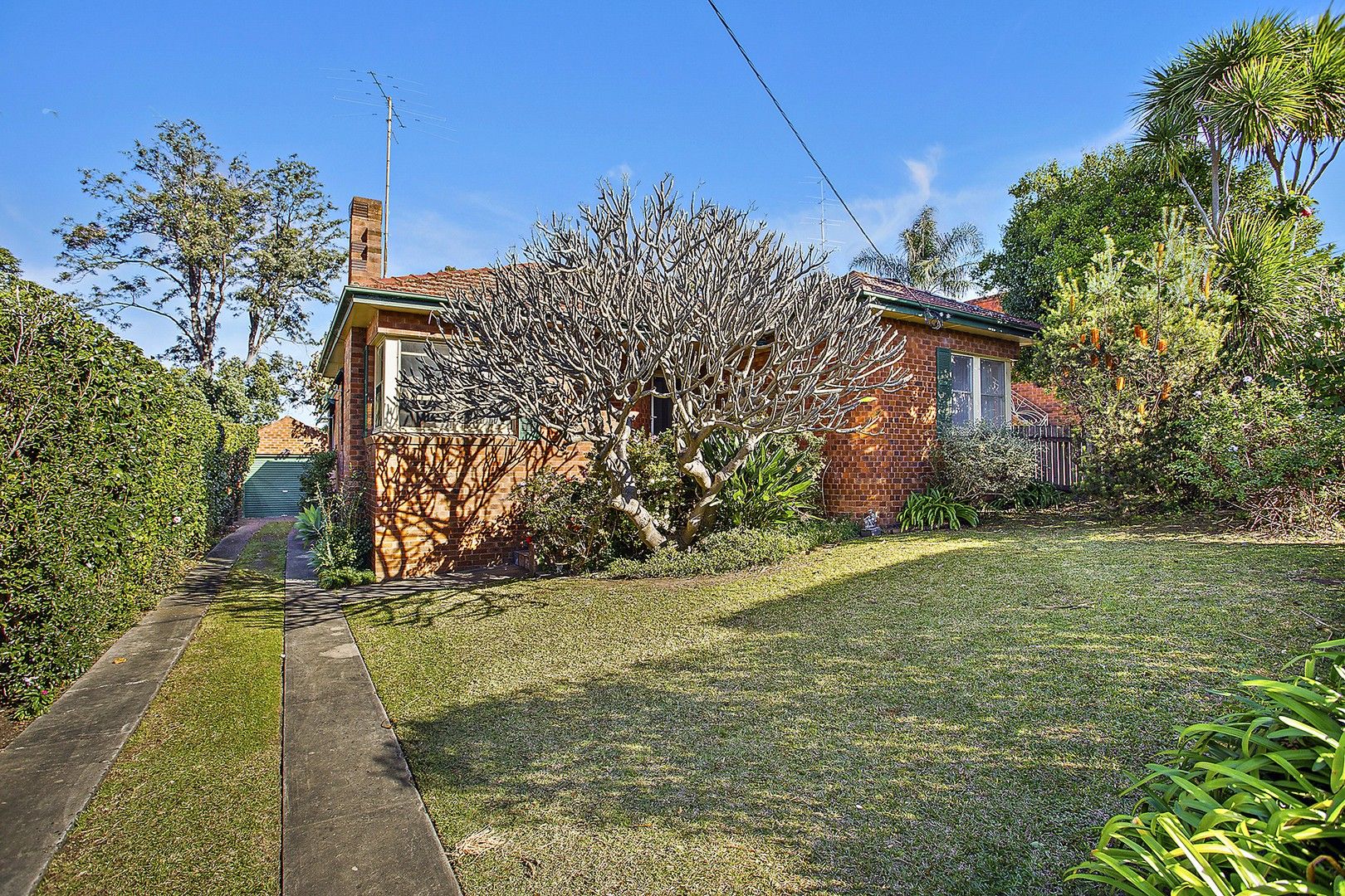 5 Hamilton Street, Fairy Meadow NSW 2519, Image 0