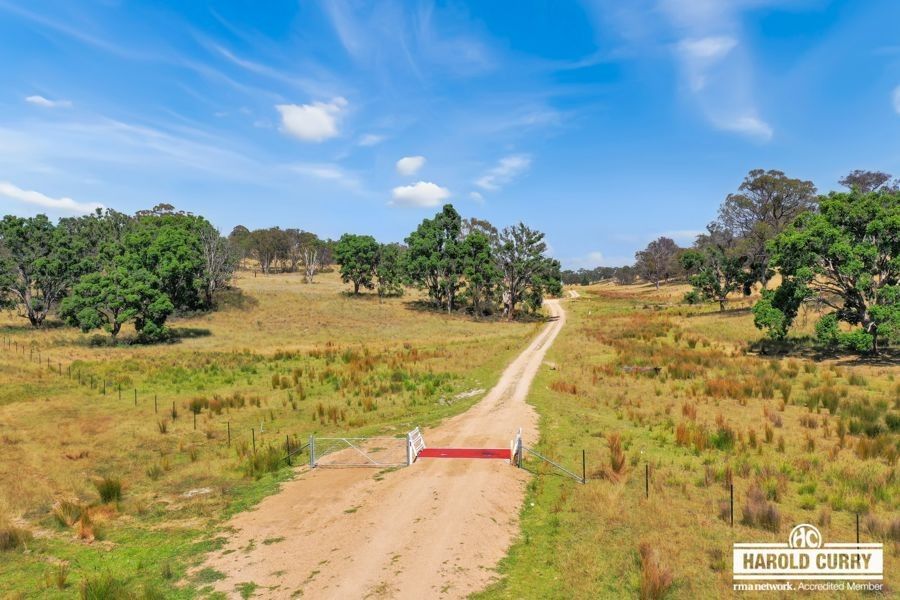 53 McCliftys Road, Tenterfield NSW 2372, Image 1