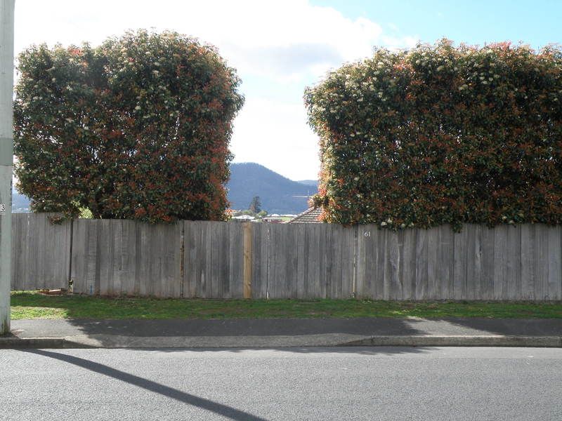 61 Ashbourne Grove, WEST MOONAH TAS 7009, Image 1