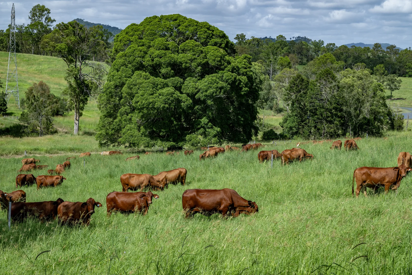 Additional image 11 of 273 Mooloo Road, Mooloo QLD 4570