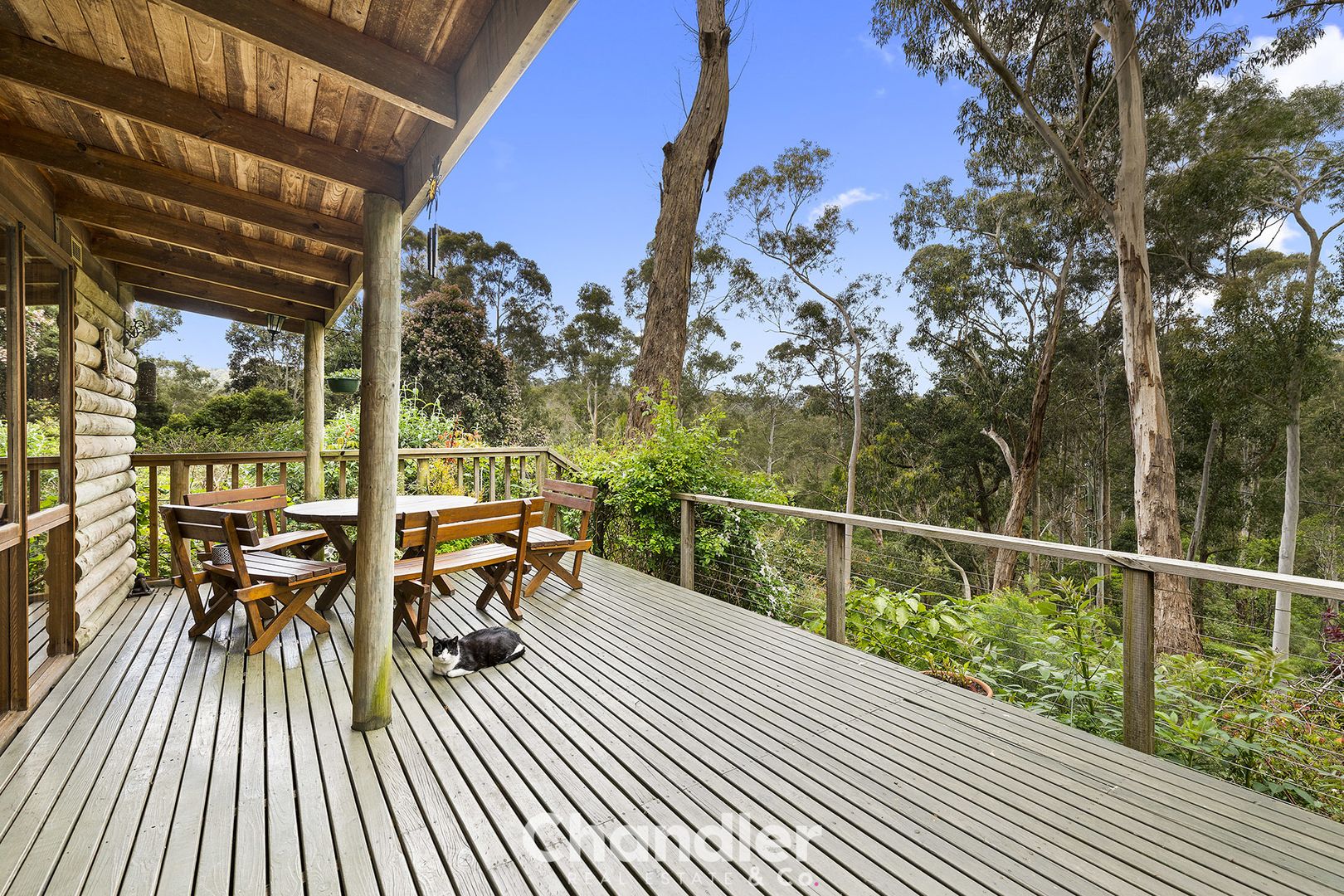 56 Hazelvale Road, Tecoma VIC 3160, Image 1