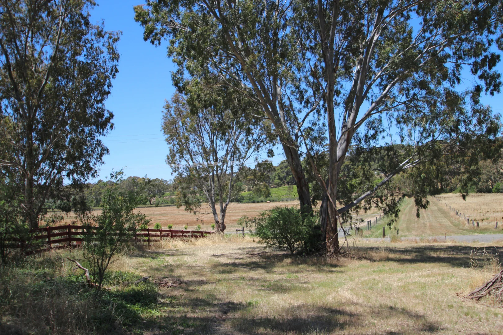 Image 7