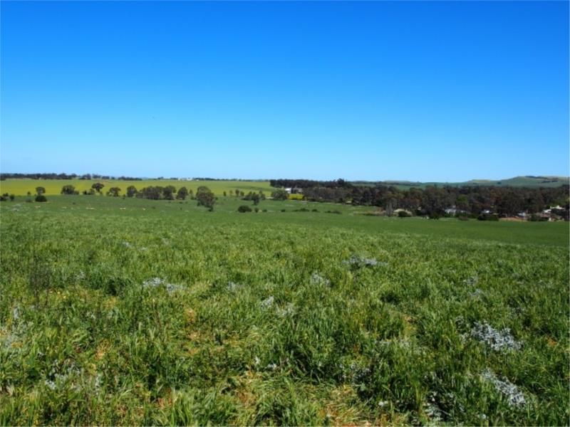 Lot 1 Short Street, Mintaro SA 5415, Image 0