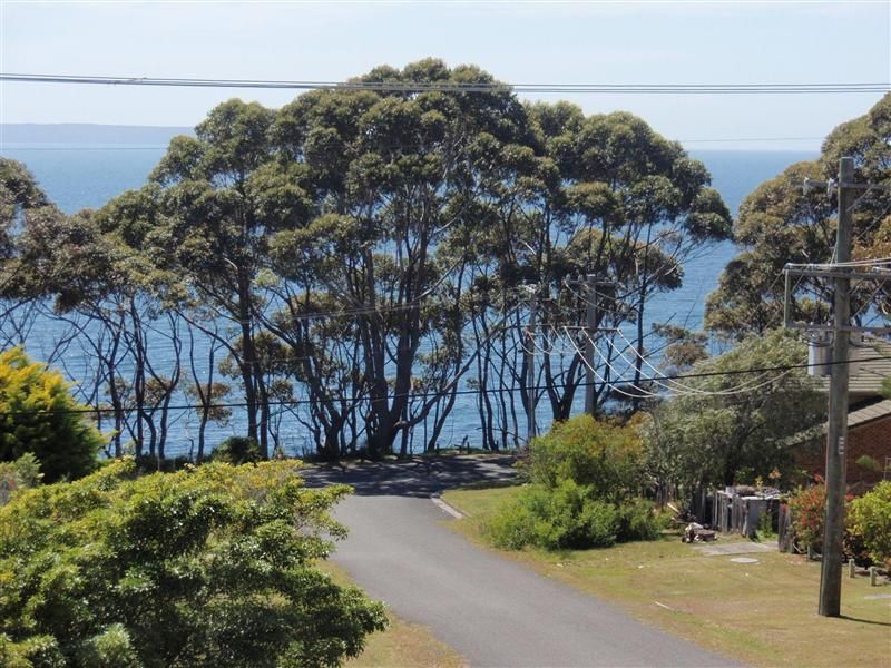 19 Tulip Street, Hyams Beach NSW 2540, Image 2