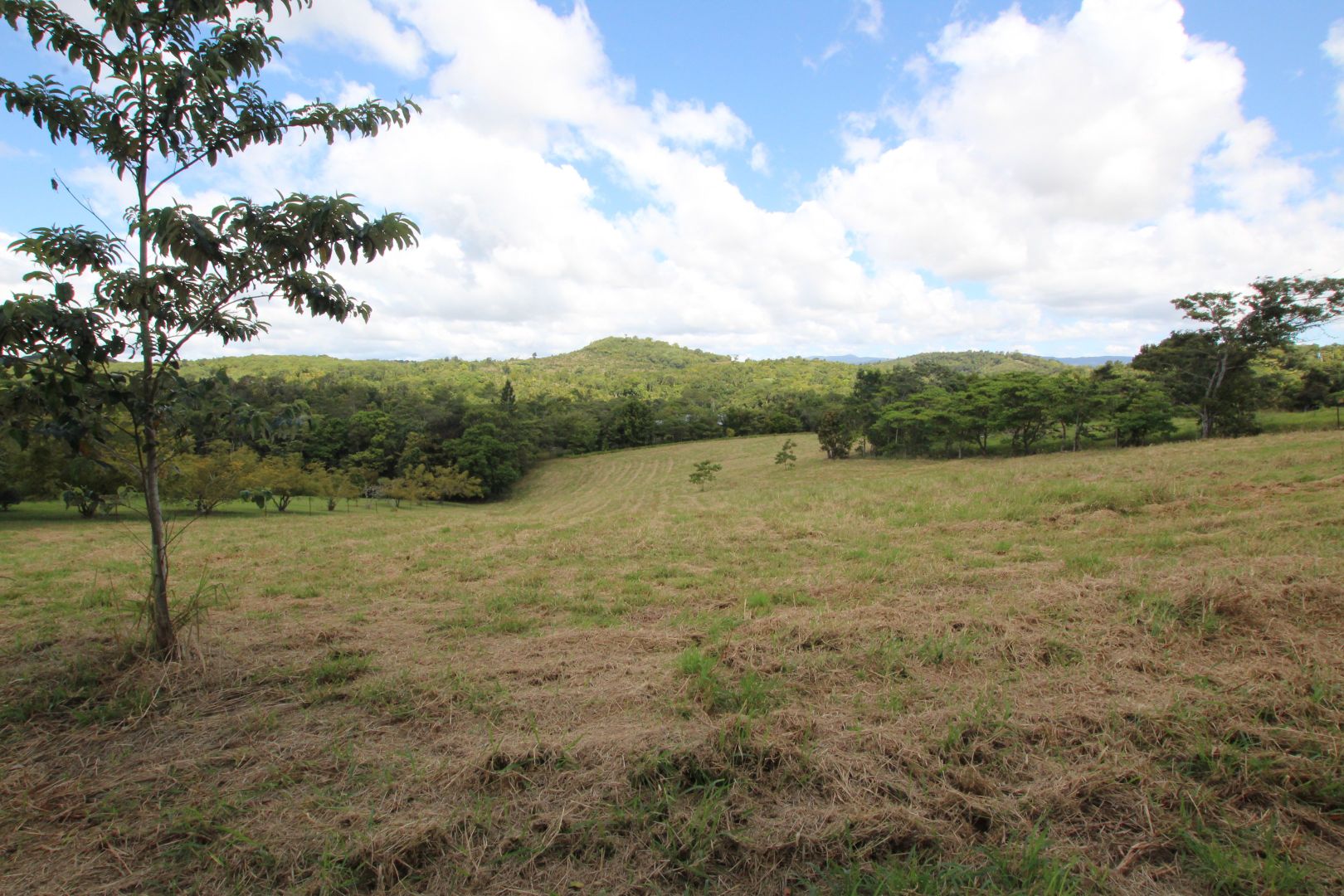 Lot 2 70 Hosie Road, Tarzali QLD 4885, Image 1