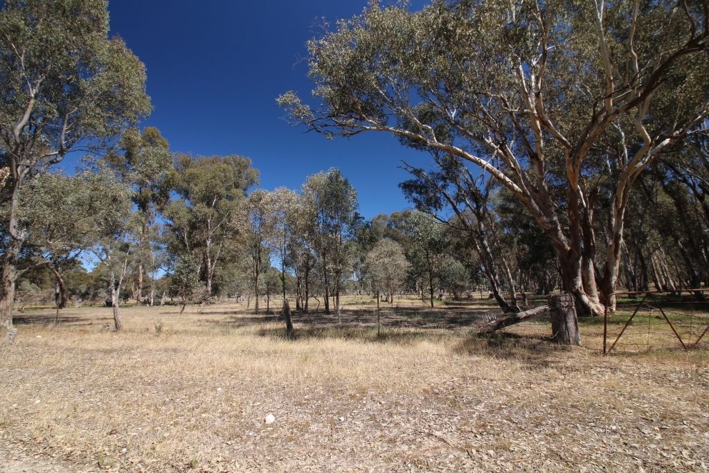 8C Research Station Lane, Rutherglen VIC 3685, Image 0