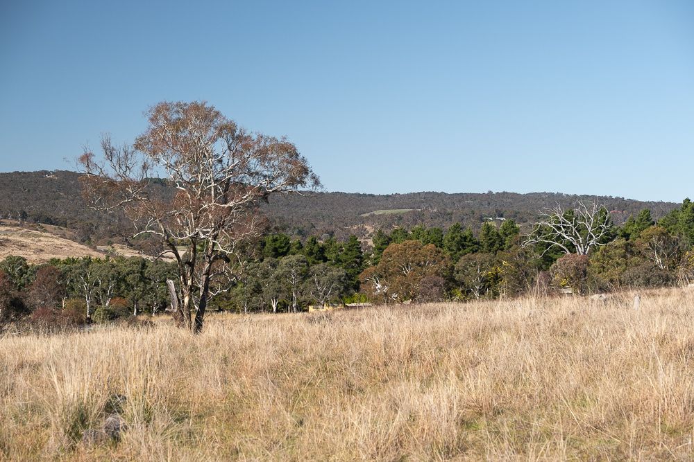 Sutton NSW 2620, Image 2