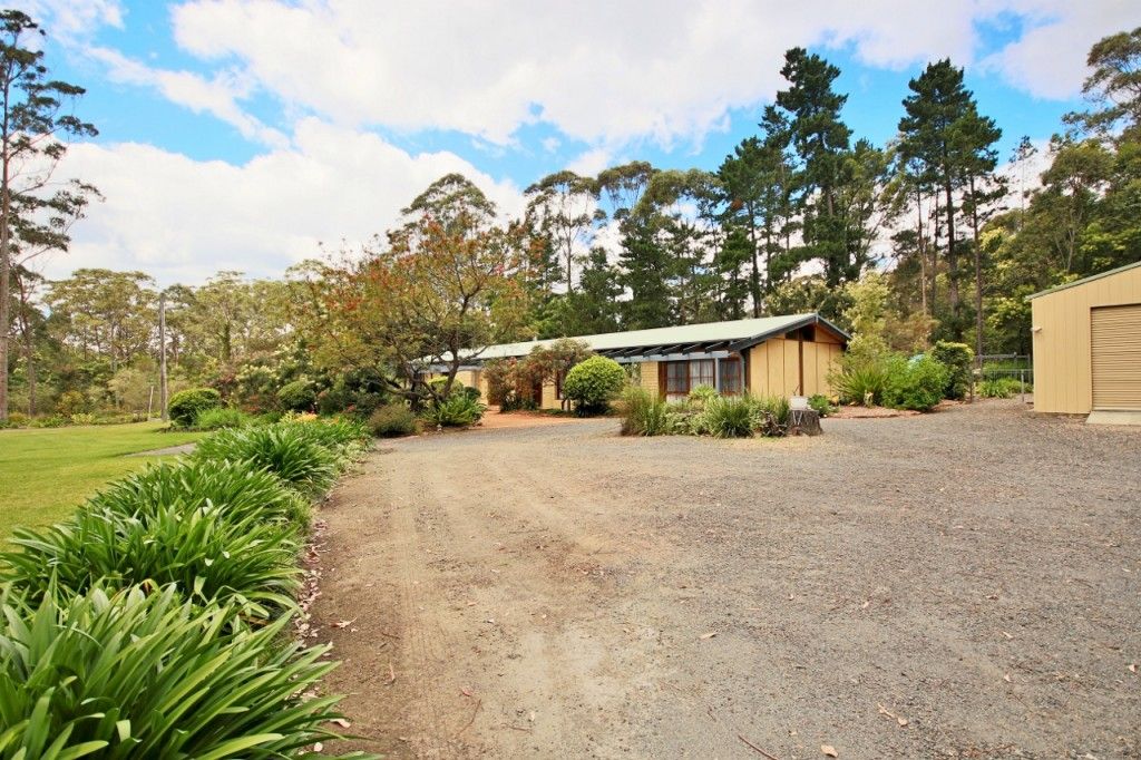 14C Old Princes Highway, Falls Creek NSW 2540, Image 1