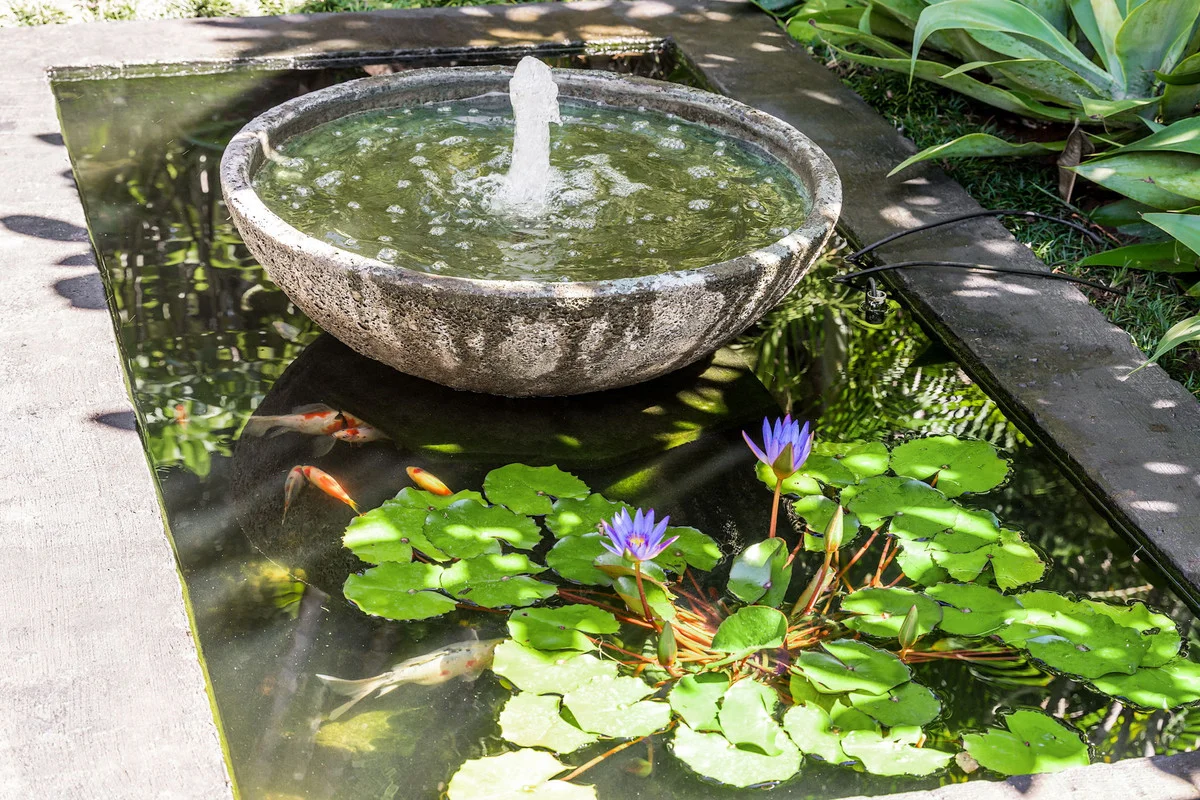 Additional image 14 of 186 Repentance Creek Road, Goonengerry NSW 2482