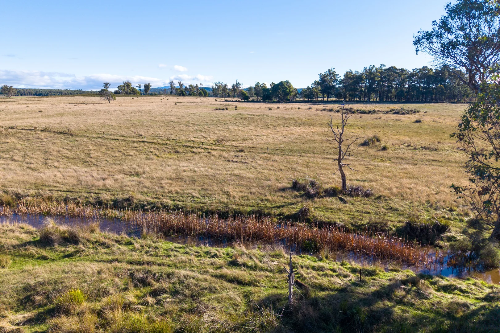 Image 14
