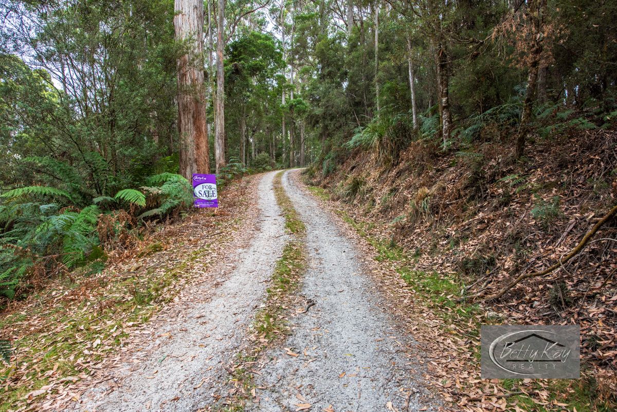 Lot Ringle Doddy Road, South Forest TAS 7330, Image 1