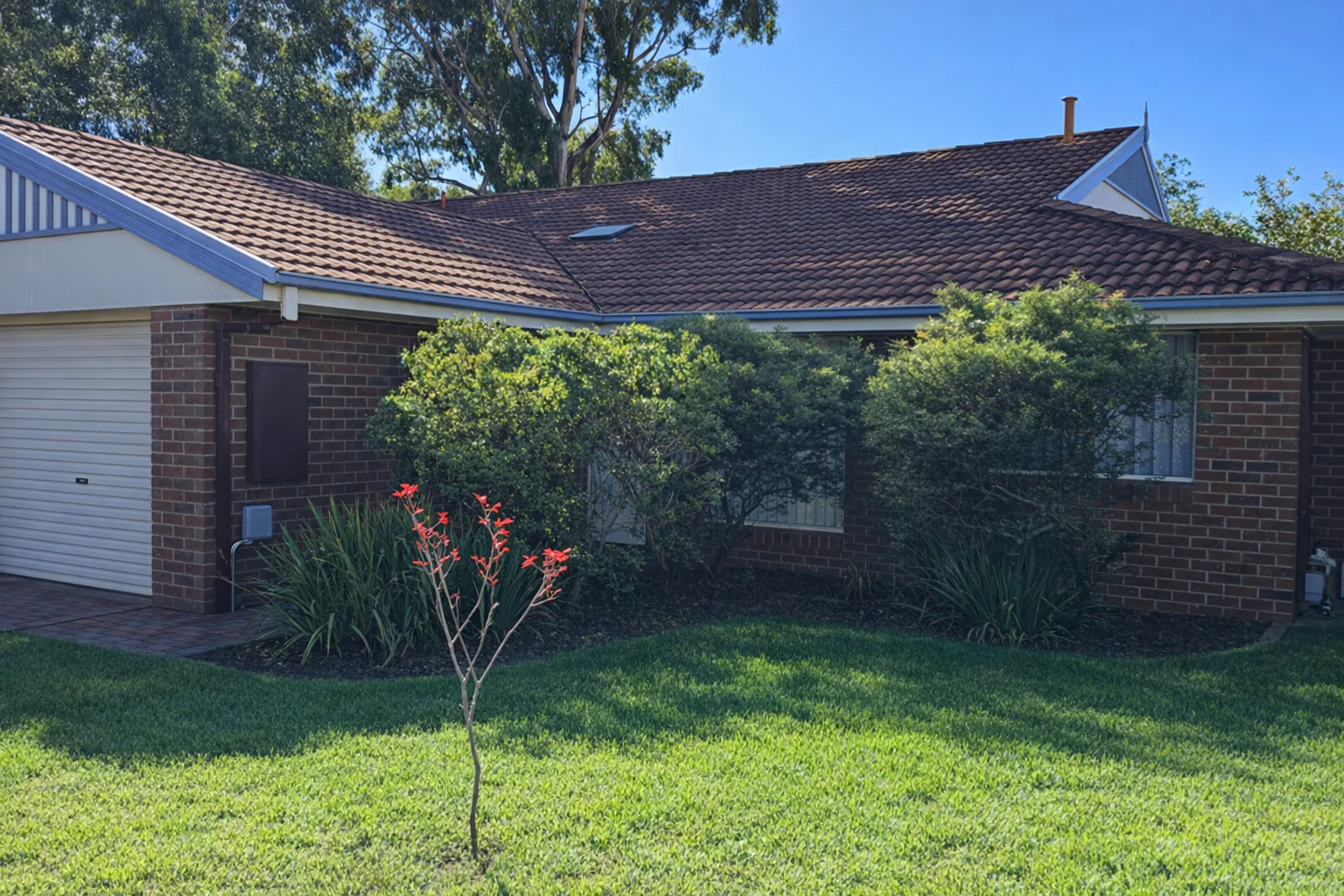 8 Maldon Terrace, Forest Hill VIC 3131