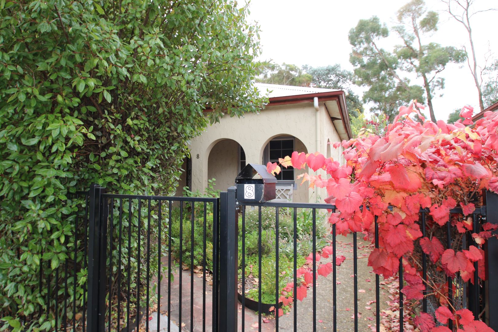 8 Hampden Avenue, Orange NSW 2800 House For Rent 600 Domain