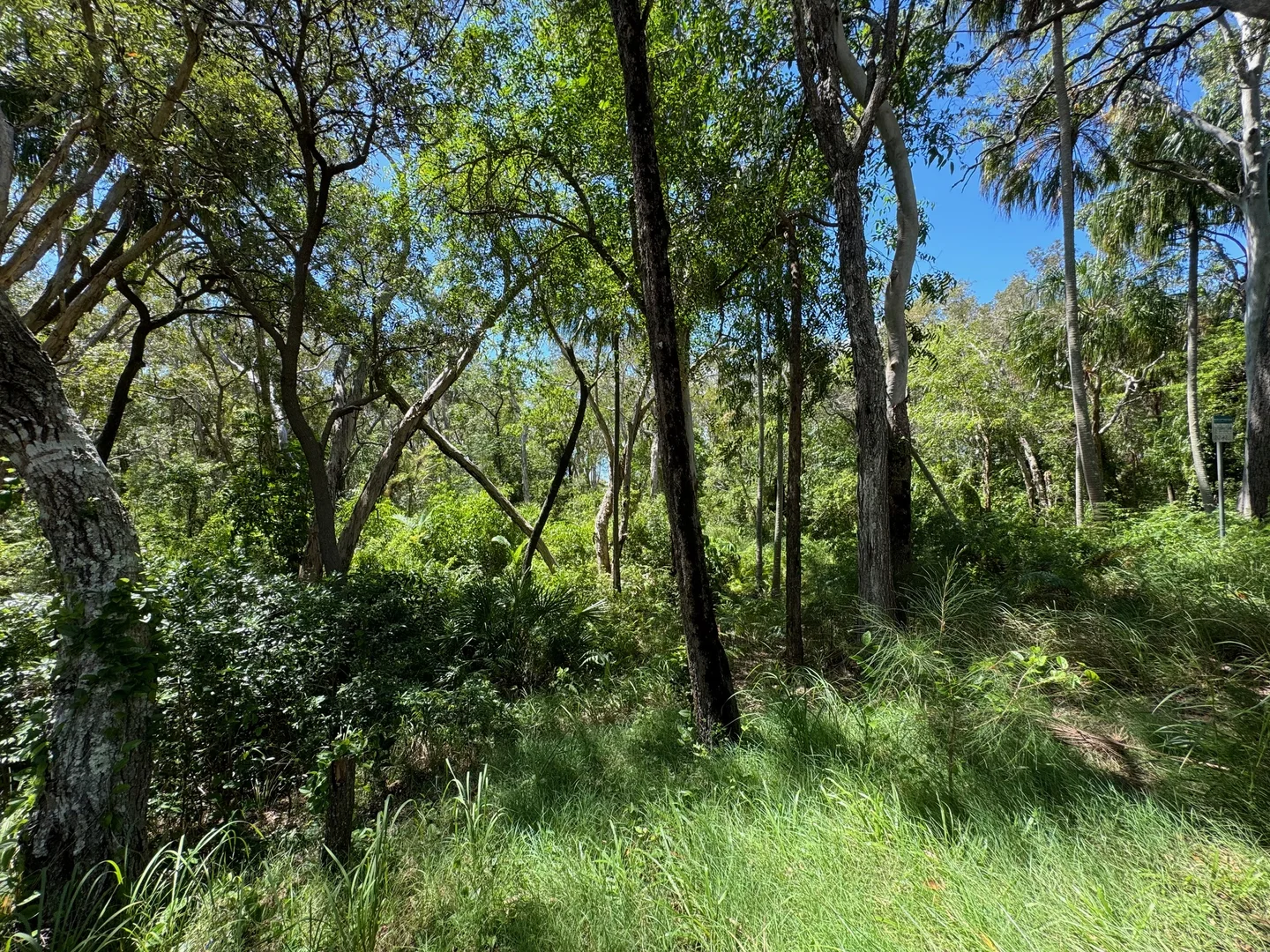 Additional image 20 of 20 Orchid Avenue, Tinnanbar QLD 4650