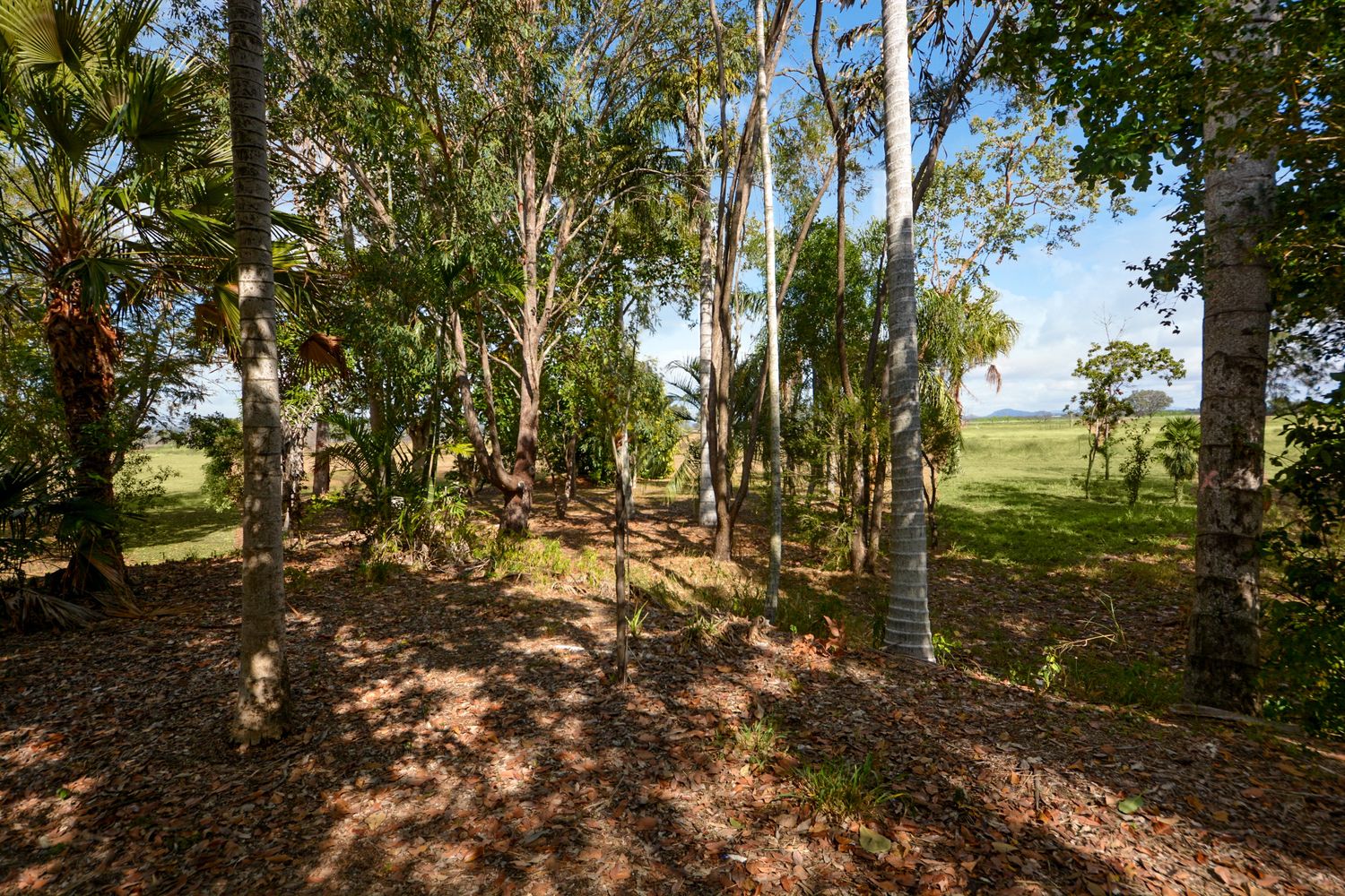 3 Boreham Street, West Rockhampton QLD 4700, Image 1