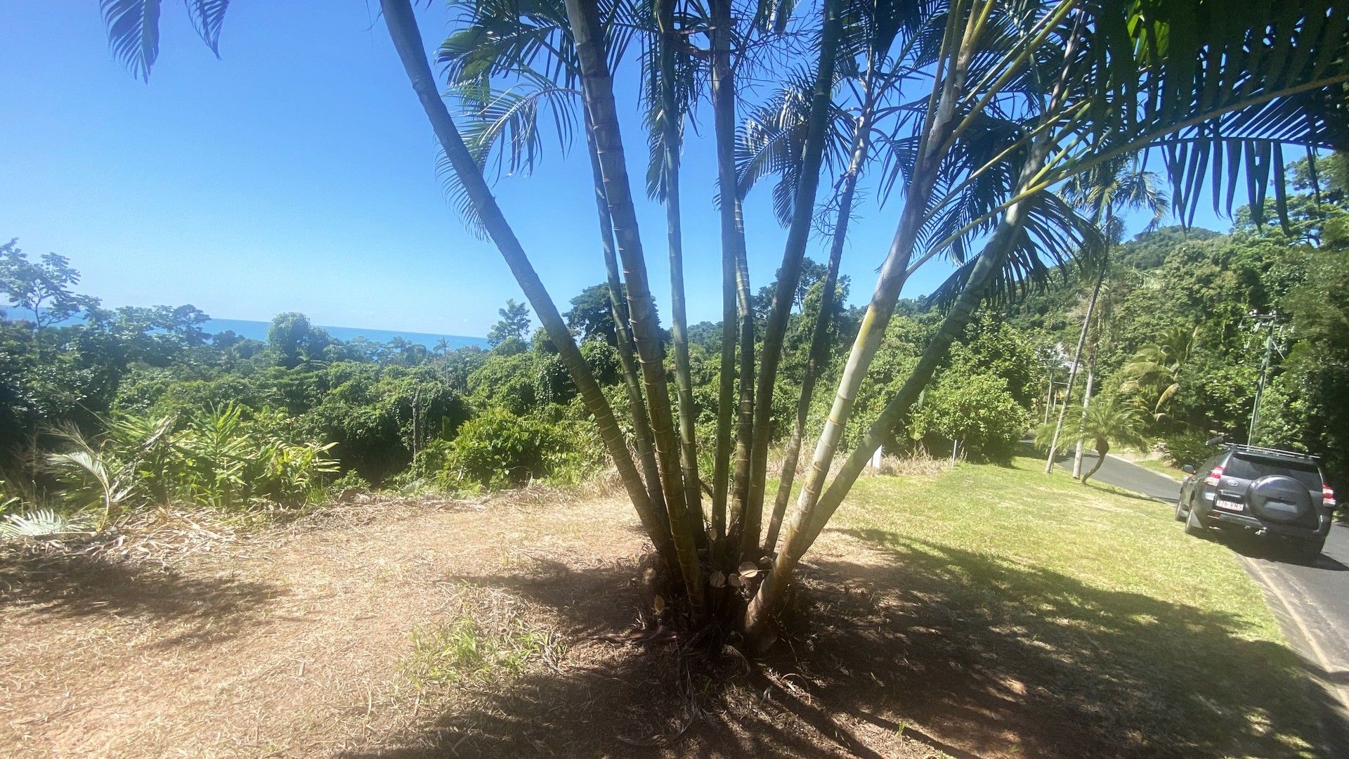 53 Cutten Street, Bingil Bay QLD 4852 Domain