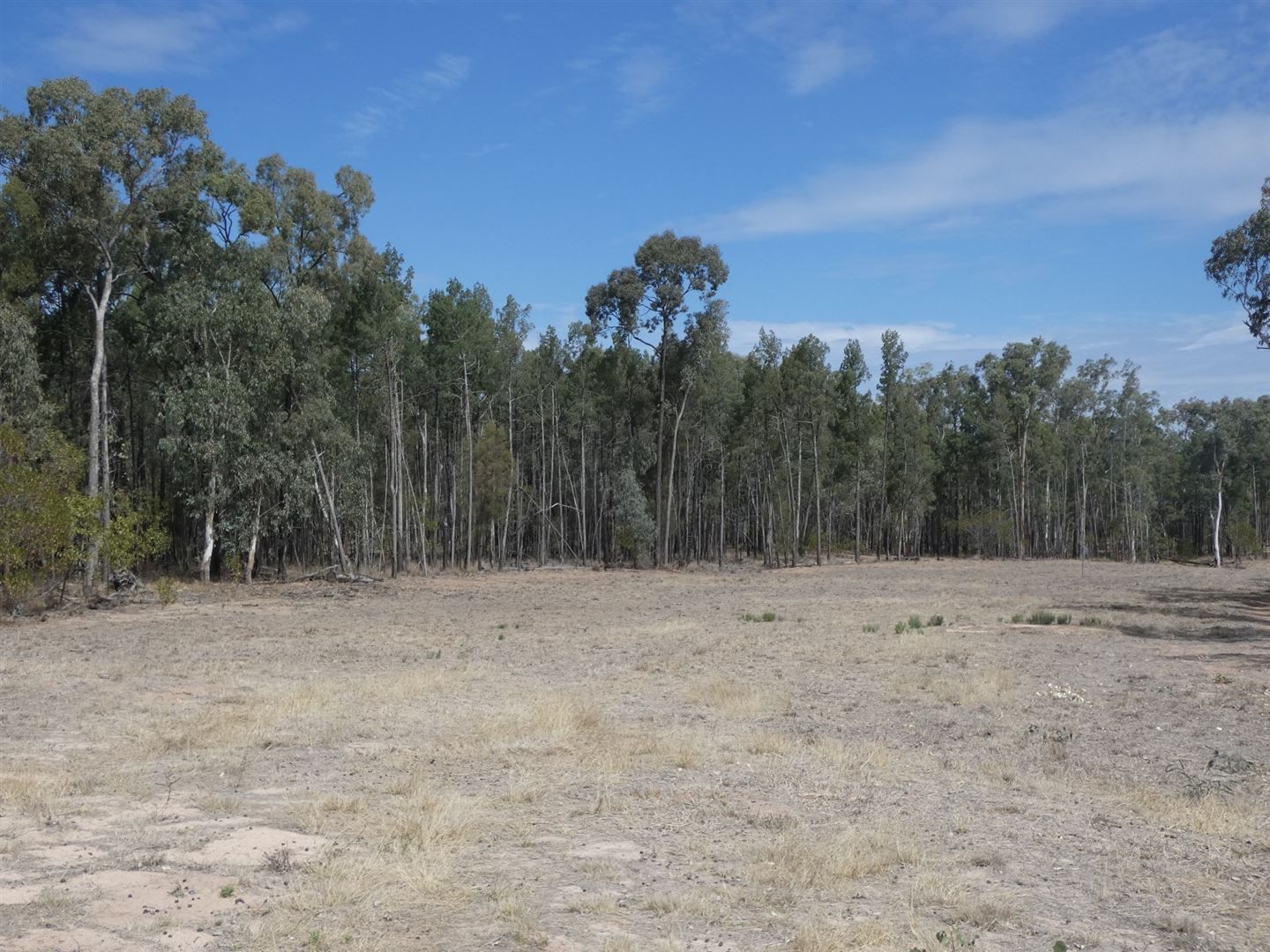 Lot 53 Ellersey Lane, Condamine QLD 4416, Image 0