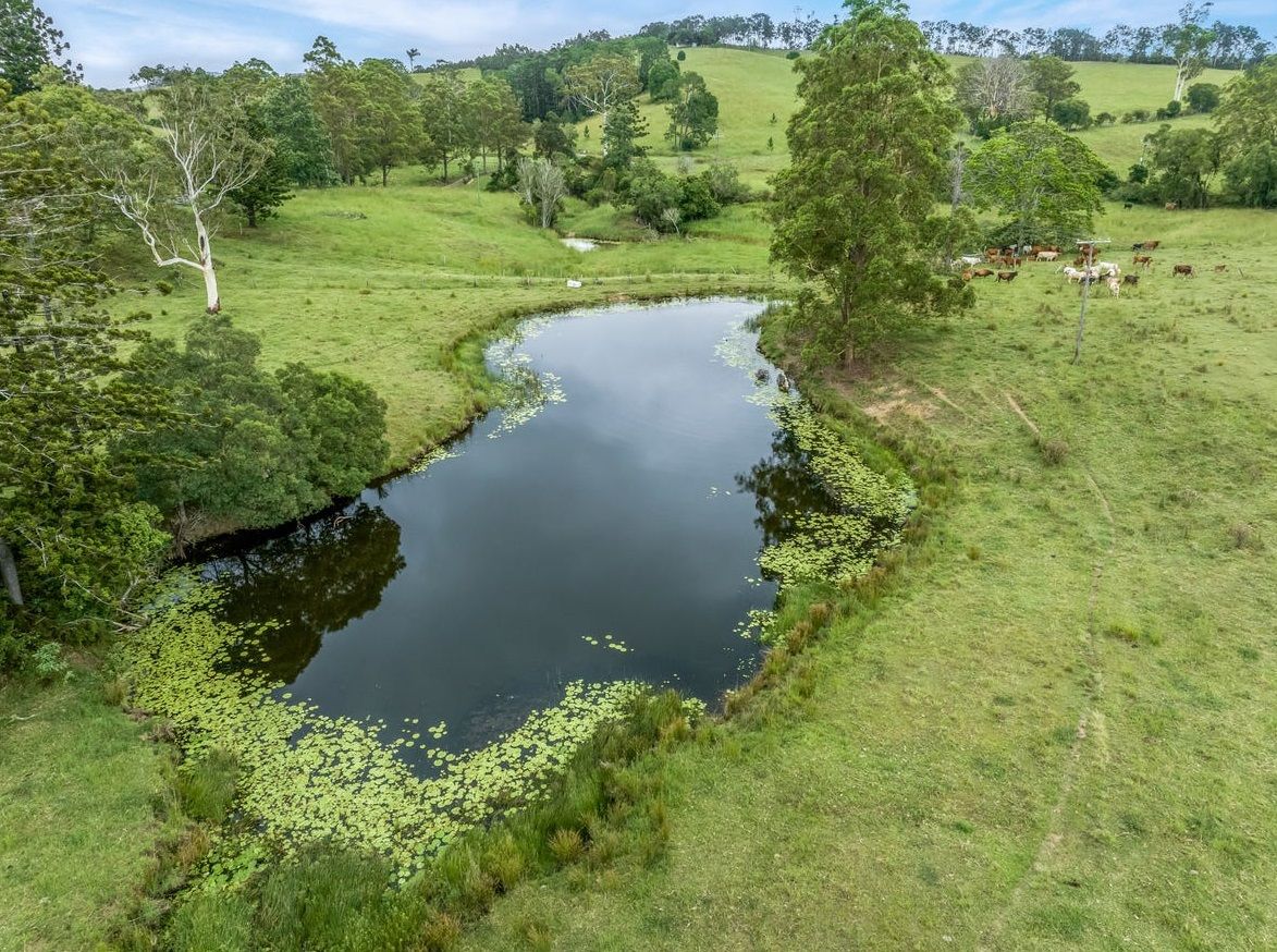 676 Sandy Creek Road, Veteran QLD 4570 House for Sale Domain