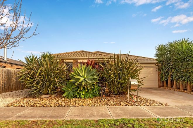 Picture of 3 Forde Avenue, MELTON SOUTH VIC 3338