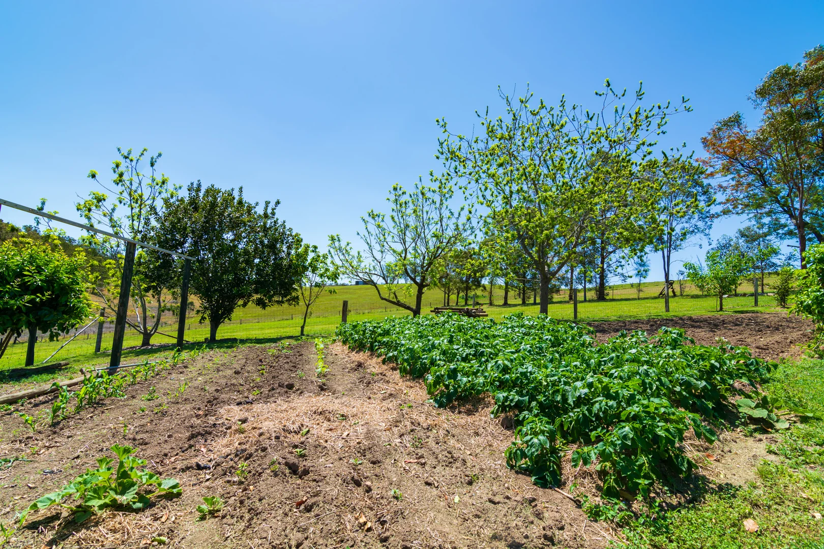 Additional image 47 of 302 Scone Road, Gloucester NSW 2422