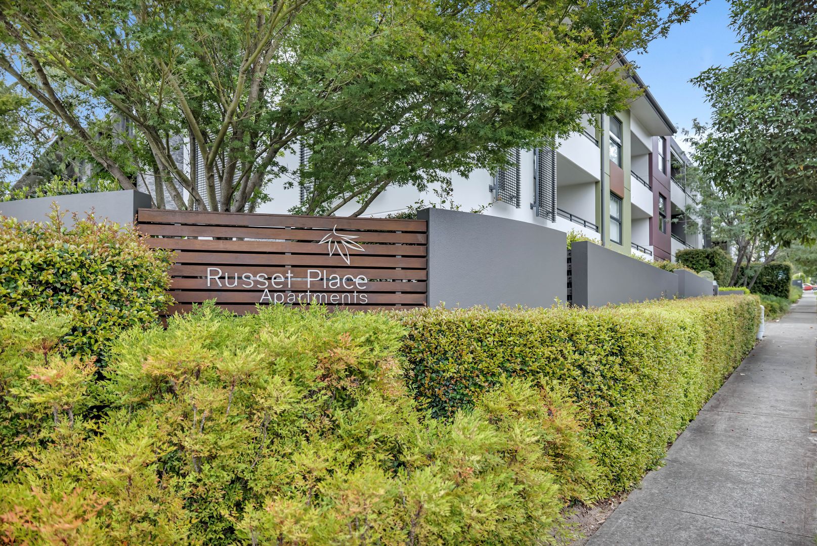 203C/2-4 Darley Street, Forestville NSW 2087, Image 1